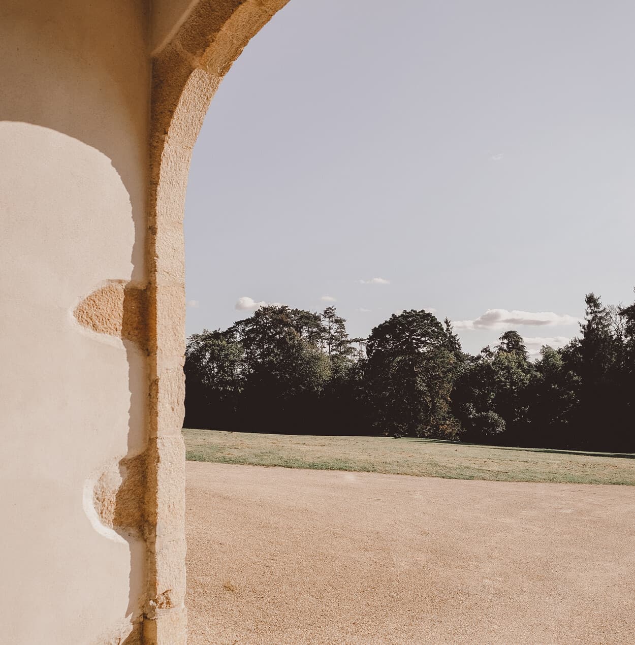 Offsetting our carbon emissions