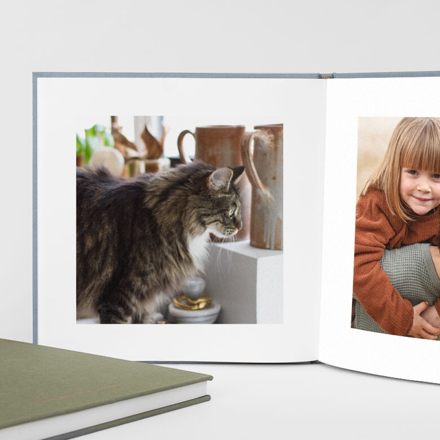 fabric cat photo albums