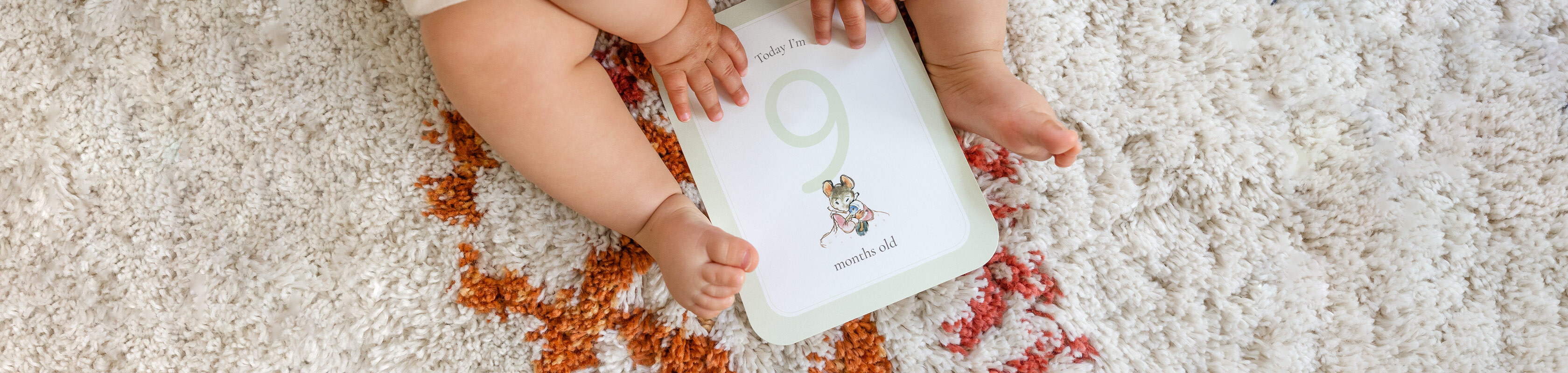 Baby Milestone Cards Rosemood