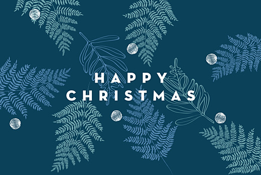Christmas Cards Festive Ferns (Foil) Blue - Front