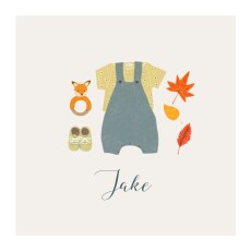 Baby Announcements Autumn Baby Blue Gray