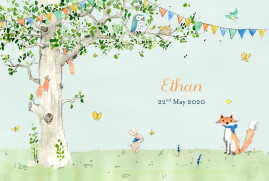Baby Announcements Woodland Storybook Photo Blue
