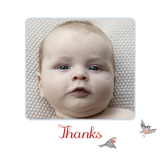 Baby Thank You Cards Winter Storybook Blue - Front