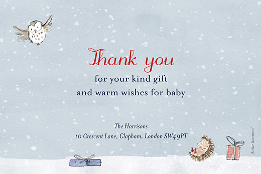 Baby Thank You Cards Winter Storybook Photo Blue - Back