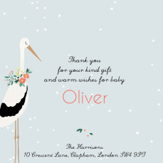 Baby Thank You Cards Stork Orange