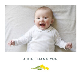 Baby Thank You Cards Summer Baby Blue