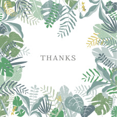 Baby Thank You Cards Tropical Forest Photo (Large) Green