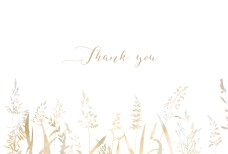 Wedding Thank You Cards Country Meadow Sand