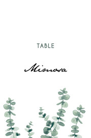Wedding Table Numbers Eucalyptus White