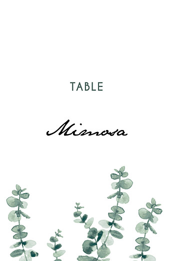 Wedding Table Numbers Eucalyptus White - Front