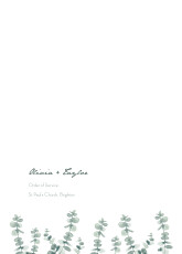 Wedding Order of Service Booklet Covers Eucalyptus White