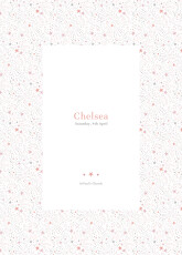 Christening Order of Service Booklets Cover Liberty Stars Pink