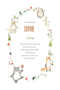 Baby Announcements Forest friends white