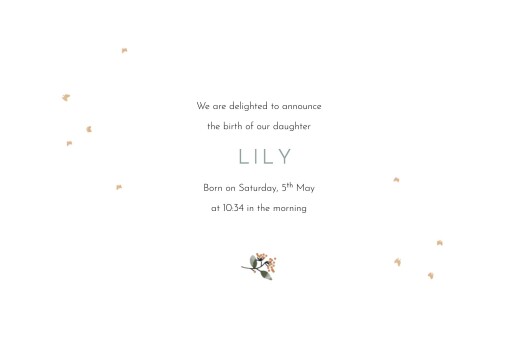 Baby Announcements Summer family 1 - Page 3