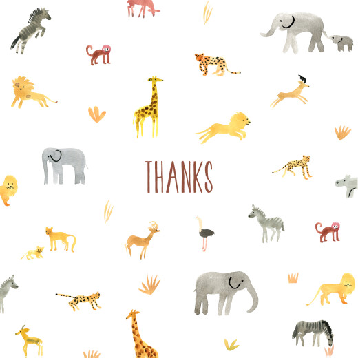 Baby Thank You Cards Safari White - Front