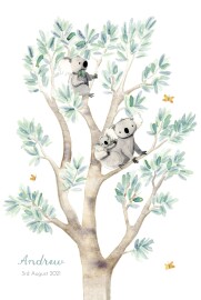 Baby Announcements Koala Family of 3 White
