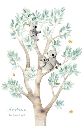 Baby Announcements Koala Family of 3 White - Front