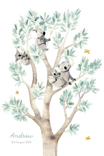 Baby Announcements Koala Family of 4 White - Front