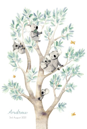 Baby Announcements Koala Family of 5 White - Front