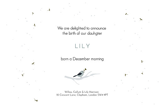 Baby Announcements Winter Family (3 Children) 1 - Page 3