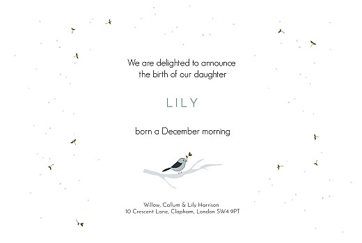 Baby Announcements Winter Family 1 - Page 3