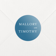 Wedding Envelope Stickers The Big Day Blue