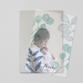 Baby Thank You Cards Midnight Foliage (Vellum) Blue