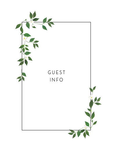 Guest Information Cards Love Grows White - Front