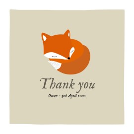 Baby Thank You Cards Little Fox (Square) Beige