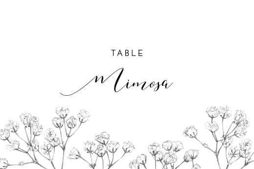 Wedding Table Numbers Gypsophila Beige - Front