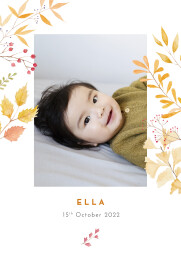 Baby Announcements Four Seasons (4 Pages) Autumn