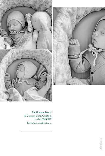 Baby Announcements Refined 4 Photos White - Back