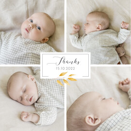 Baby Thank You Cards Lovely Laurel (Emblem) White