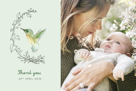 Baby Thank You Cards Little Hummingbird (Landscape) Green - Front
