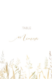 Wedding Table Numbers Country Meadow Sand