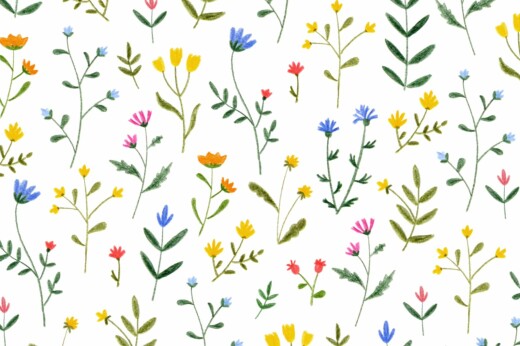 Notecards Wild Flowers White - Front