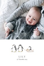 Baby Thank You Cards Atop the ice caps (4 pages) Portrait White