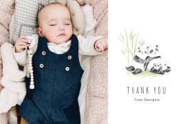 Baby Thank You Cards Panda Family (Landscape) White