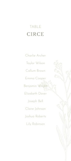 Wedding Table Plan Cards Hearts Aflutter Green - Front