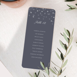 Wedding Table Plan Cards Polka Blue