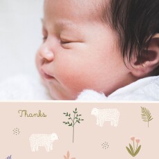 Baby Thank You Cards My Little Bear (4 pages) Square Pink