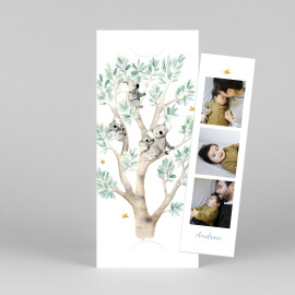 Baby Thank You Cards Koala Family of 4 (Bookmark) White
