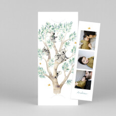 Baby Thank You Cards Koala Family of 5 (Bookmark) White