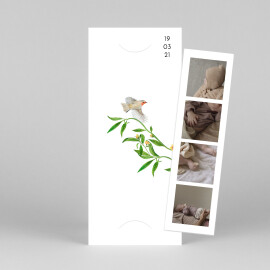 Baby Thank You Cards Flora & Fauna (Gatefold) White